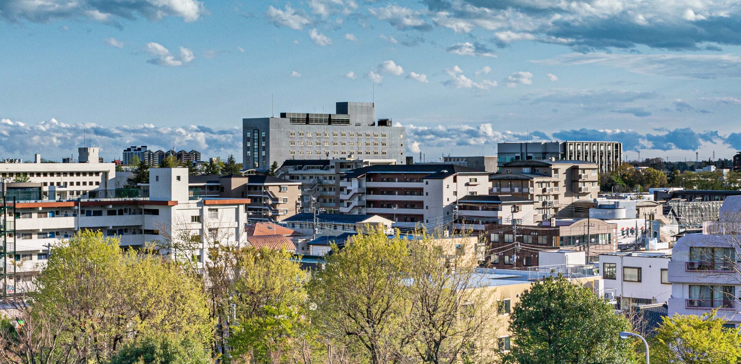 地域を俯瞰した風景の画像